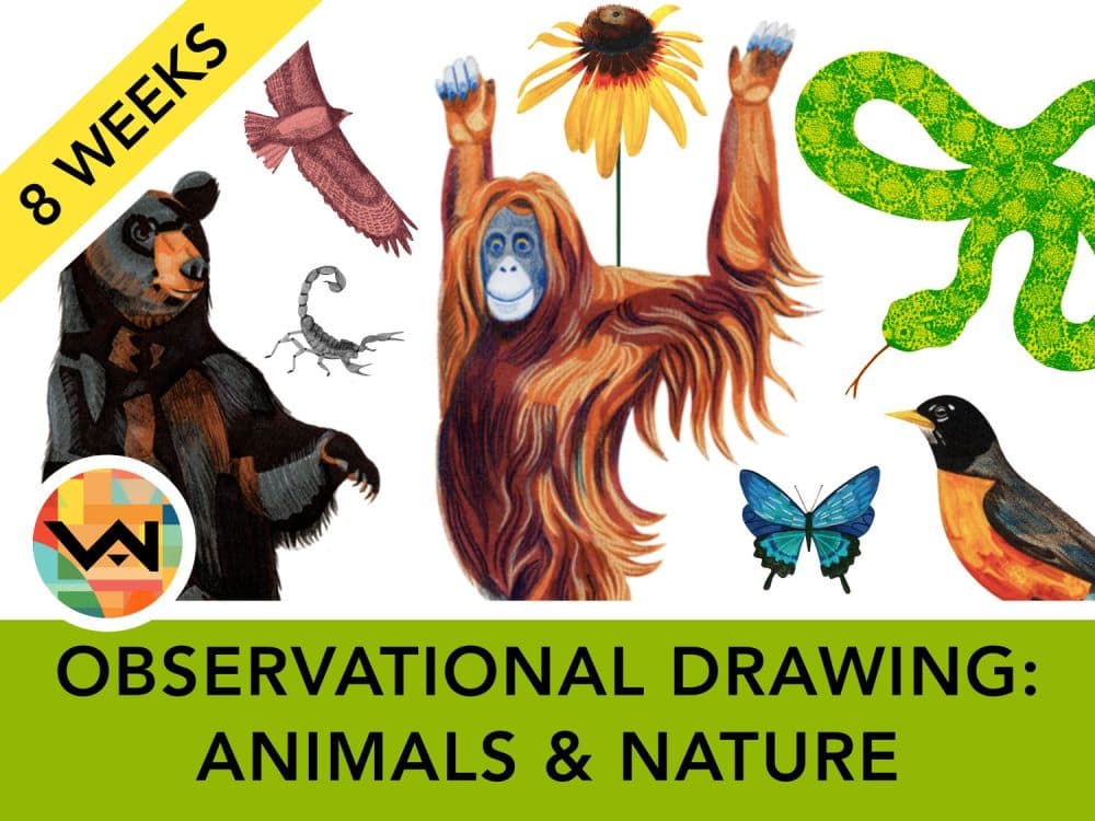 Observational Drawing: Animals and Nature (Ages 12+)