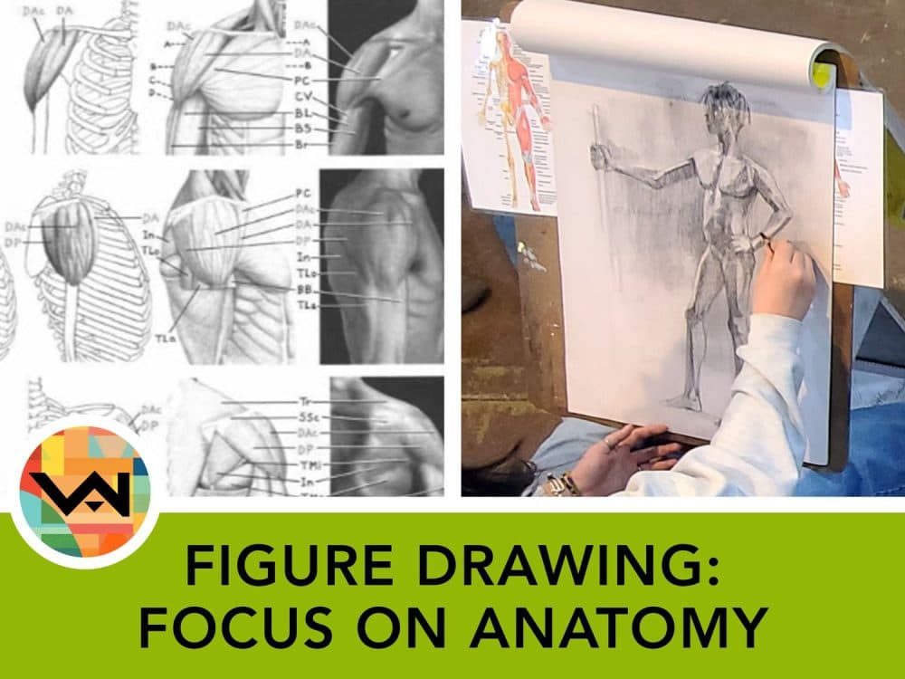 FIGURE DRAWING: FOCUS ON ANATOMY (Ages 12+)