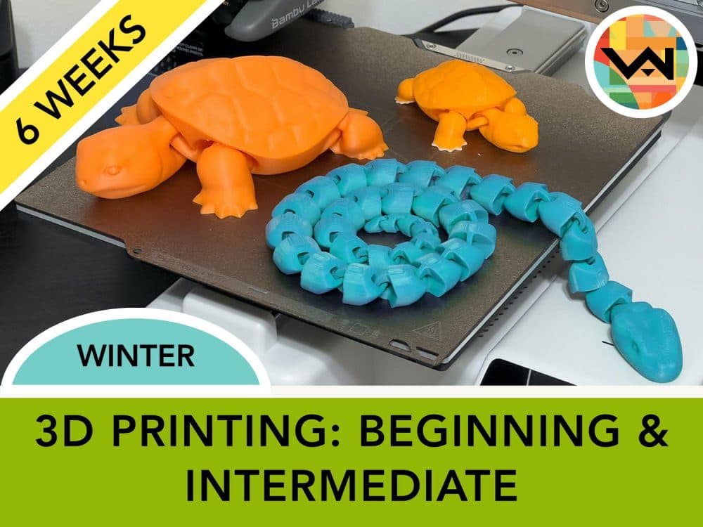 3D Printing: Beginning & Intermediate (Ages 12+)