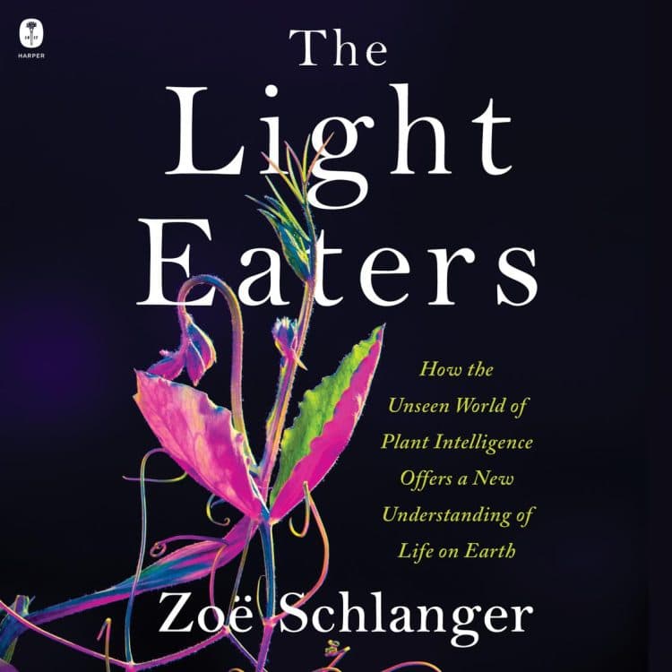 Book Discussion: The Light Eaters