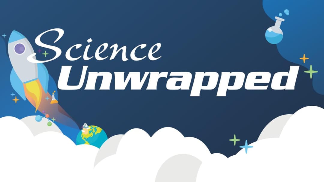 Science Unwrapped - Why Queen Bees Can Have It All