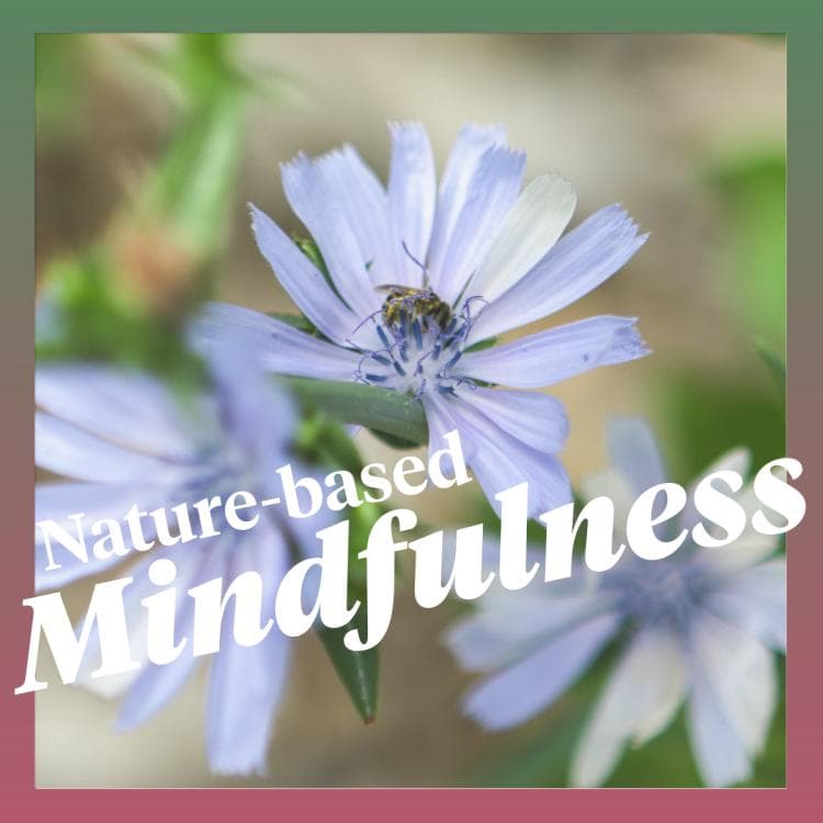 Image for event: Nature-based Mindfulness