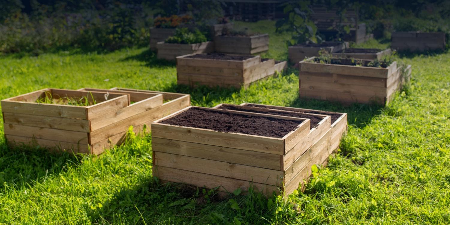 Image for event: Healthy Soils = Happy Plants