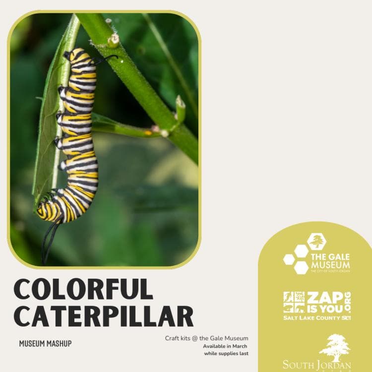 Image for event: Museum Mashup: Colorful Caterpillar