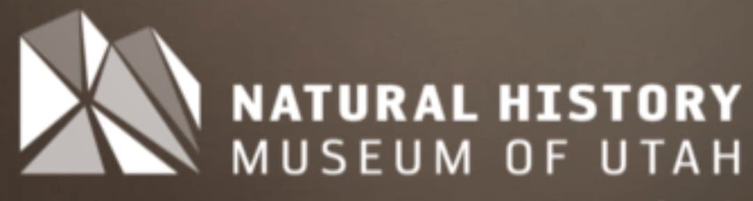 2026 Navajo Rug Sale