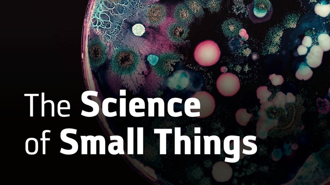 The Species We Rely On | Rob Dunn, Ph.D., at NHMU