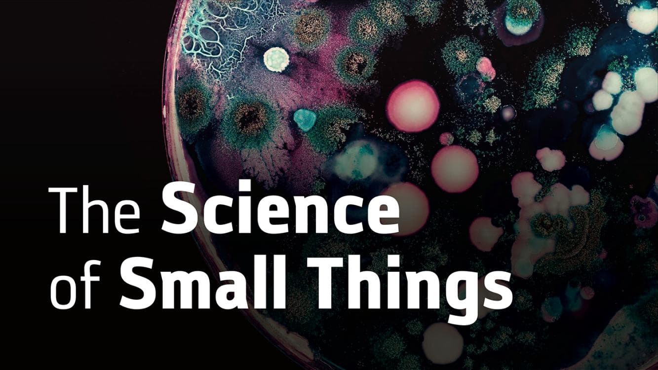 Image for event: Exploring Nature’s Hidden Worlds | Anand Varma Keynote Lecture