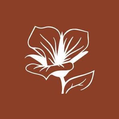 Image for event: Spring Fling at Mountain View Village