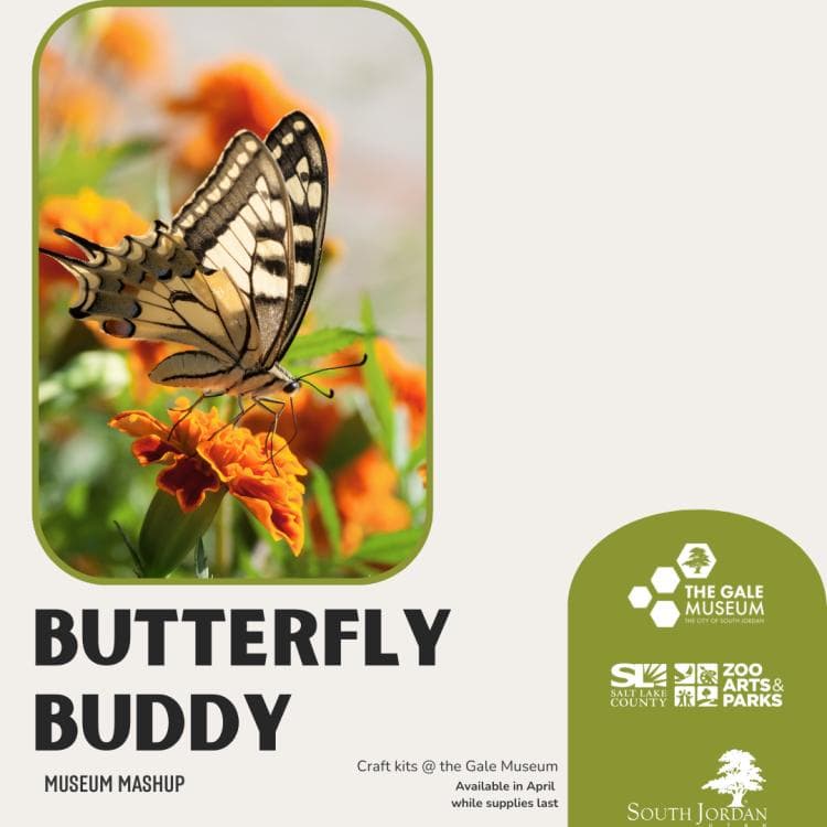 Image for event: Museum Mashup: Butterfly Buddy