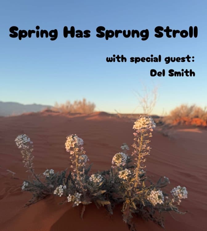 Image for event: Spring Has Sprung Stroll