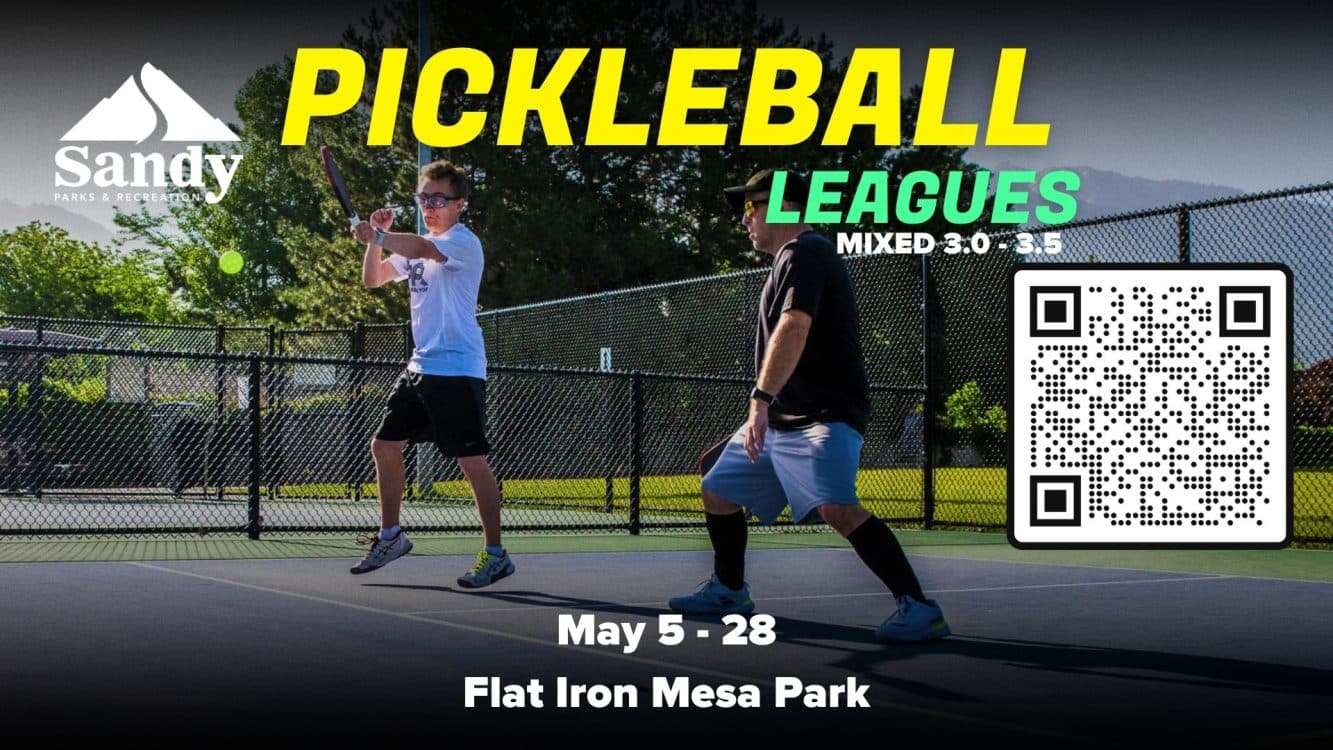 Image for event: Pickleball Leagues