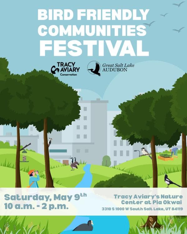 Bird-Friendly Communities Festival