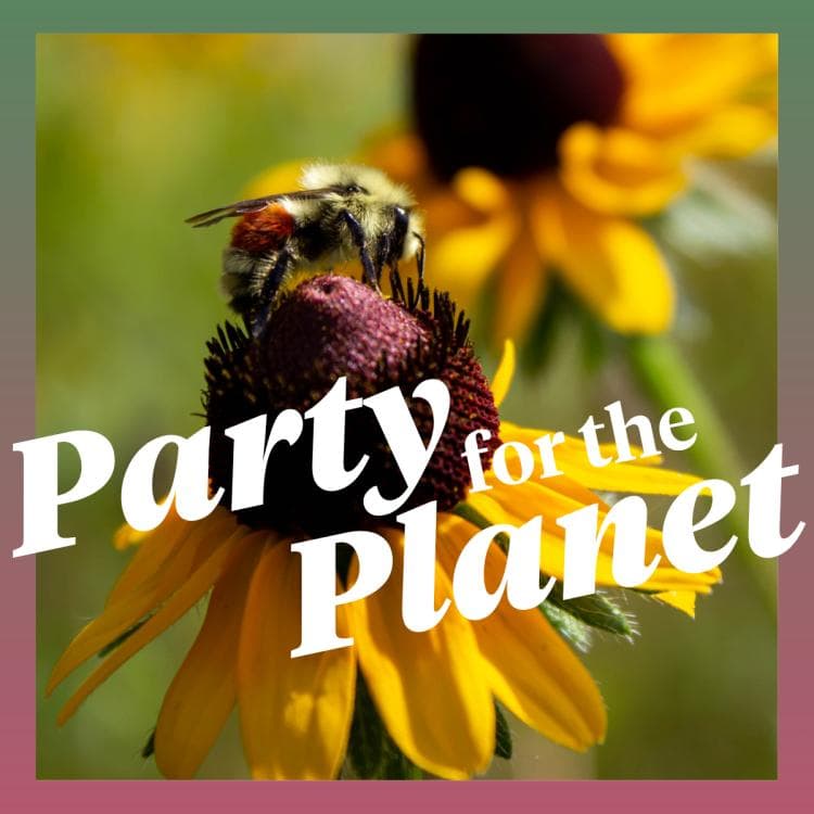 Image for event: Party for the Planet 2026