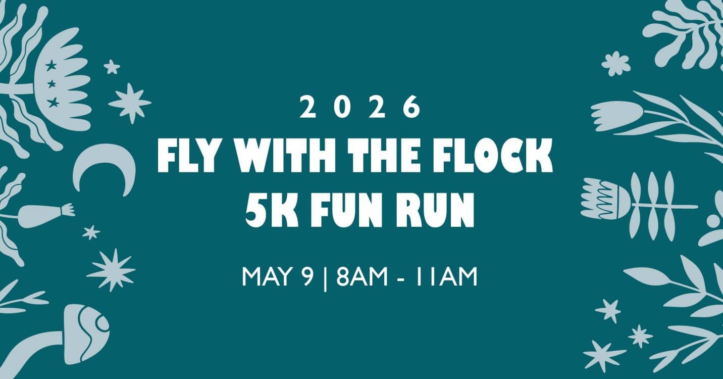 Image for event: 2026 Fly with the Flock 5k and Fun Run