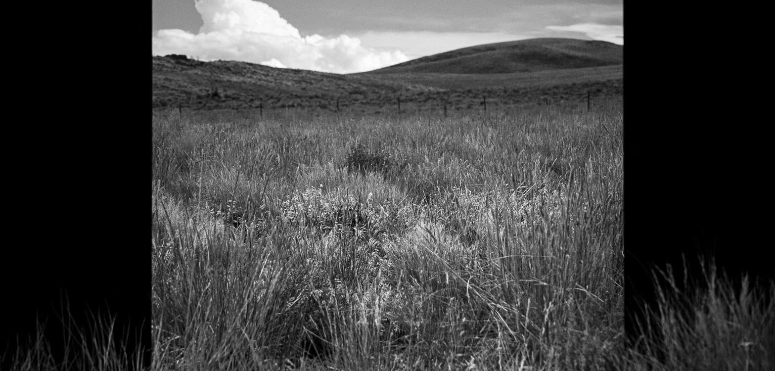 Image for event: Found Frames: Photography Workshop w/ Alex Fuller