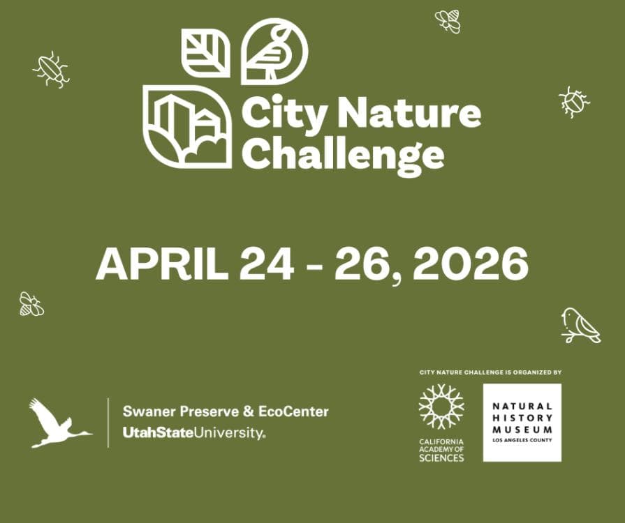 City Nature Challenge