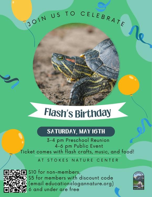 Flash the Turtle's Birthday!