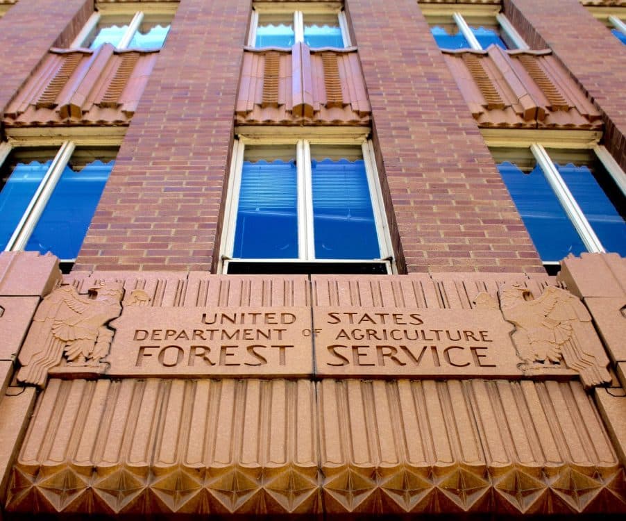 The Pre-Construction Preview: Rehabilitating the Forest Service Building