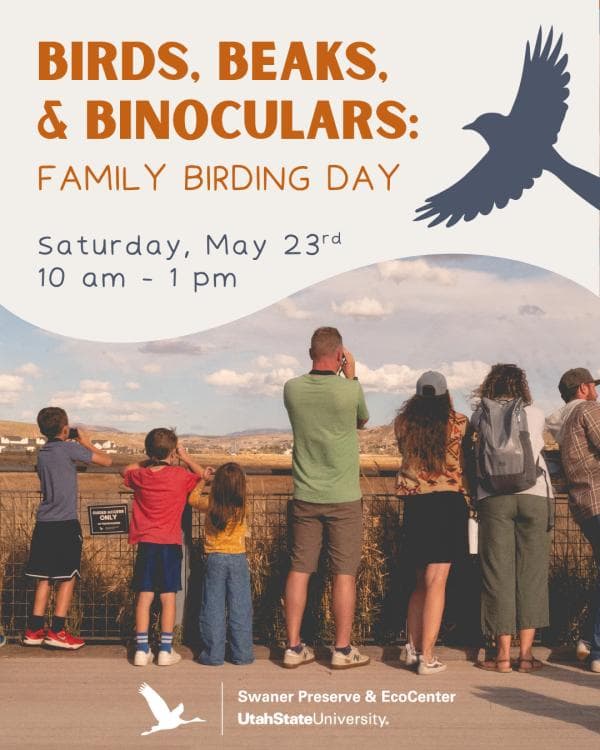 Image for event: Birds, Beaks & Binoculars: Family Birding Day