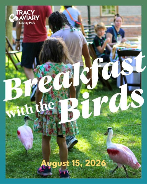 Breakfast with the Birds