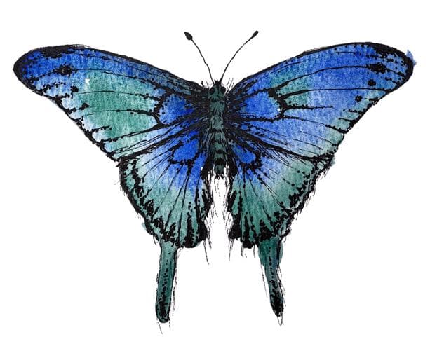 Bugs of Capitol Reef National Park & Insect Watercolor Art