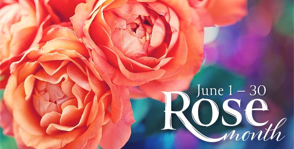 Image for event: Rose Month 2026