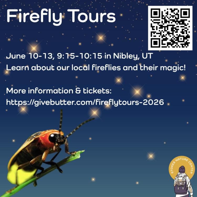 Image for event: Firefly Tours