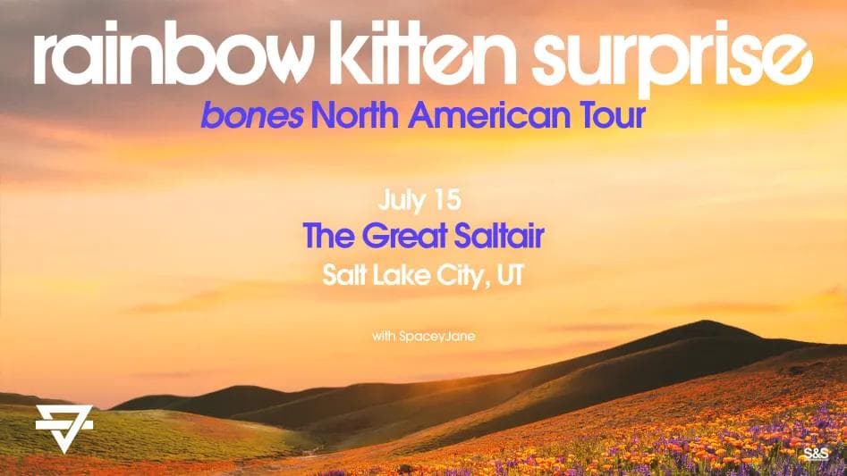Rainbow Kitten Surprise