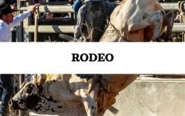 2026 Hyrum Star Spangled Rodeo