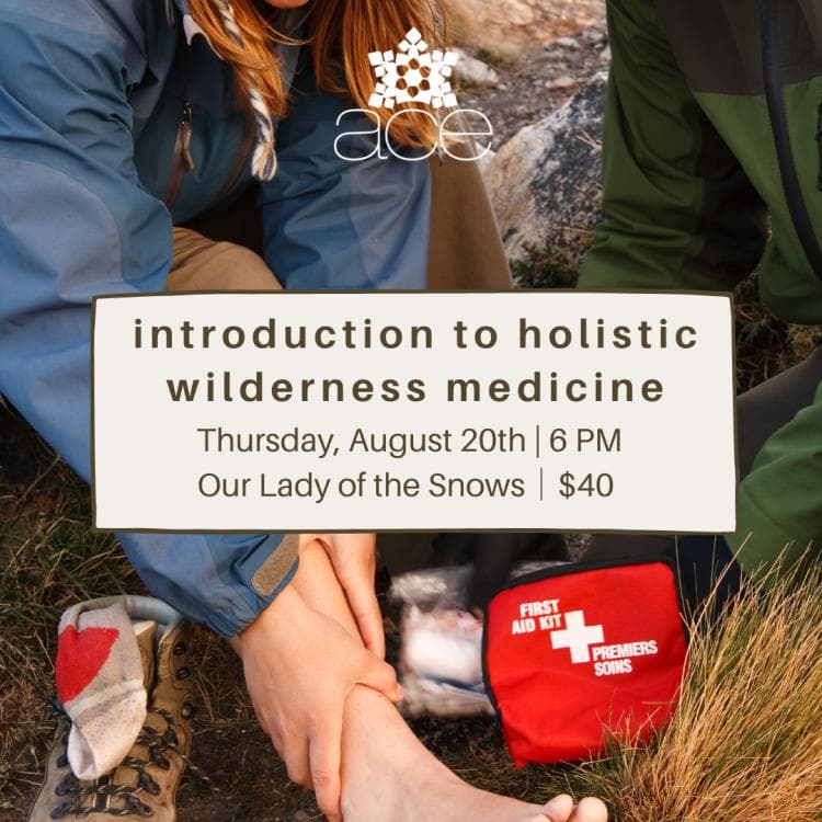 Image for event: Introduction to Holistic Wilderness Medicine