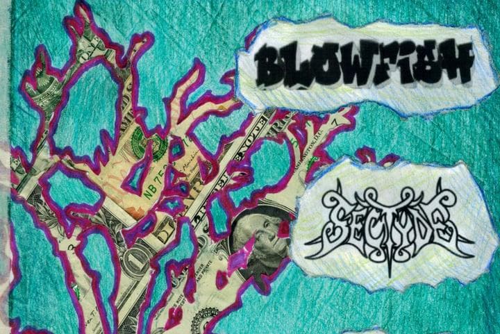 Image for event: Blowfish