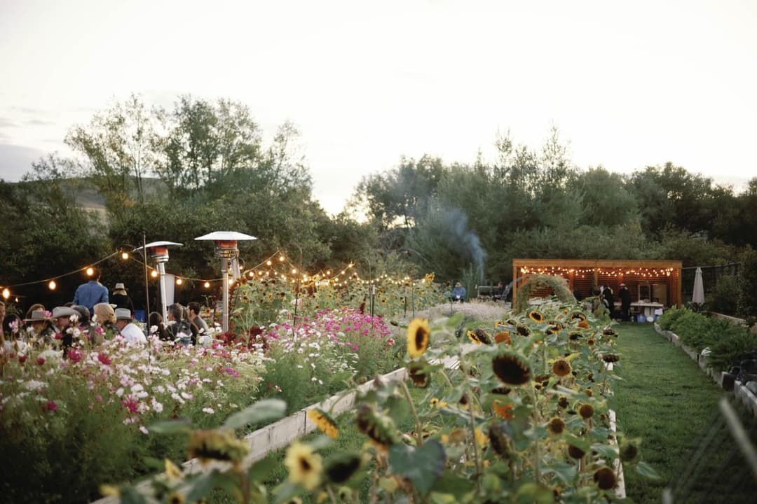Gracie's Farm Dinner Series | Tomatoes