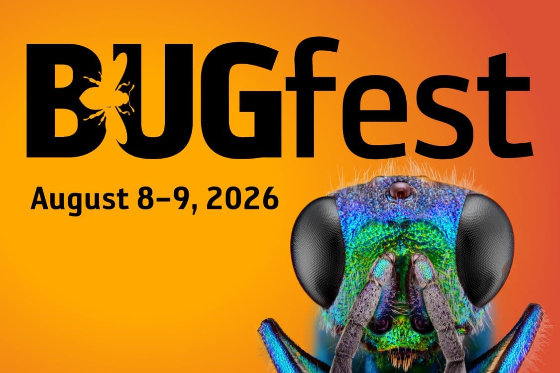 Image for event: BugFest