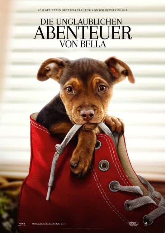 Image for event: Park City Film Presents: A Dog’s Way Home (Kamas)