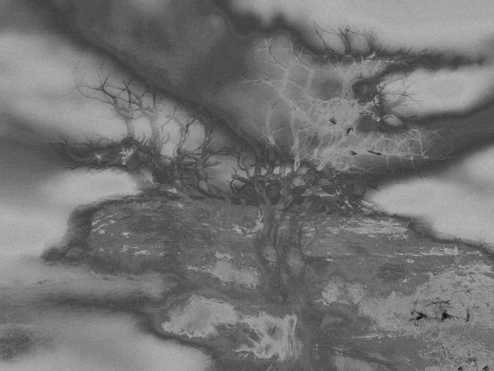 Image for event: The Splinter Beneath a Fractured Star: Moses Williams & Chaz Prymek