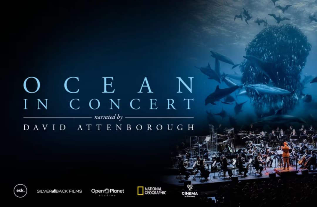Ocean in Concert