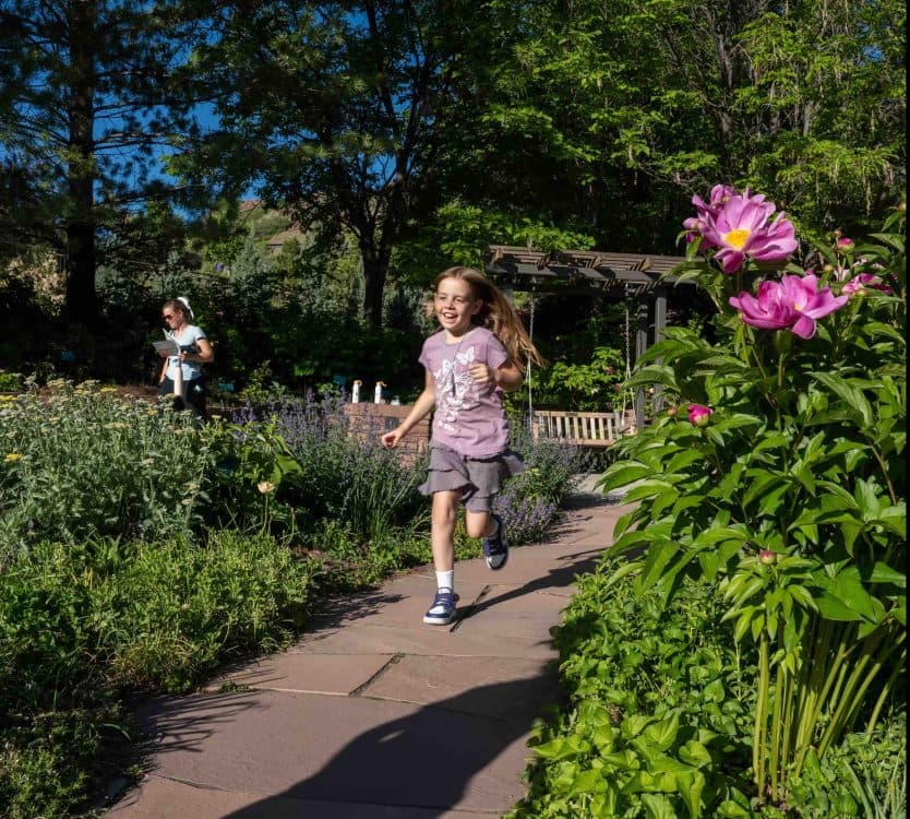 Image for event: Friends & Family Night: Tree Tales