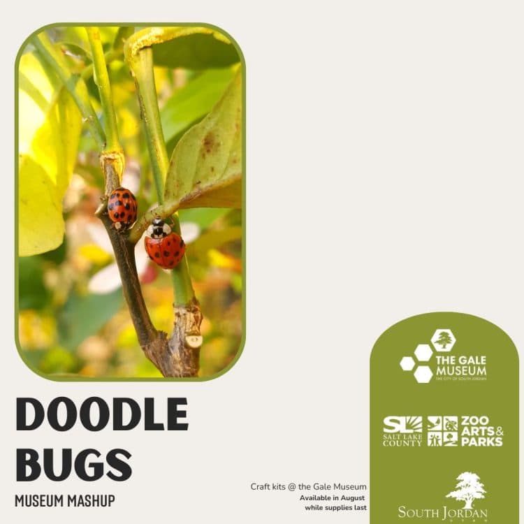 Image for event: Museum Mashup: Doodle Bugs