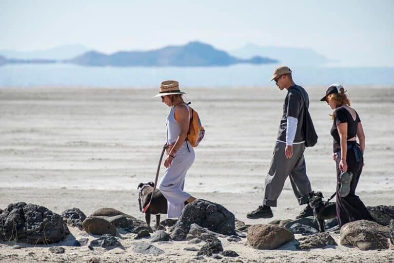 Image for event: Spiral Jetty Community Meet-up