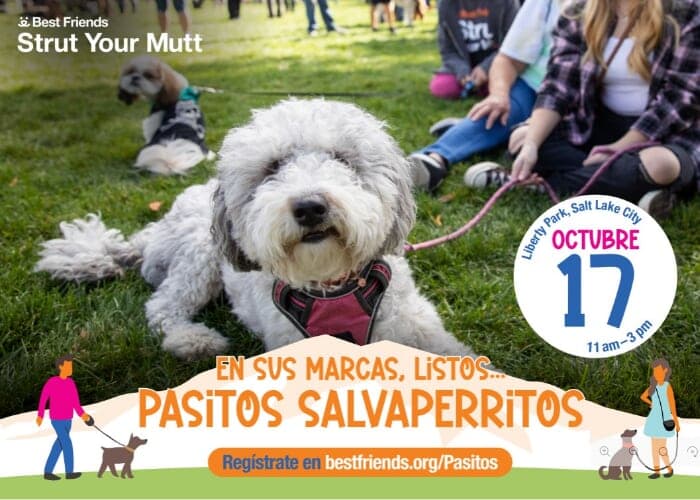 Image for event: Strut Your Mutt