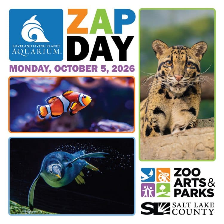 Image for event: ZAP Day