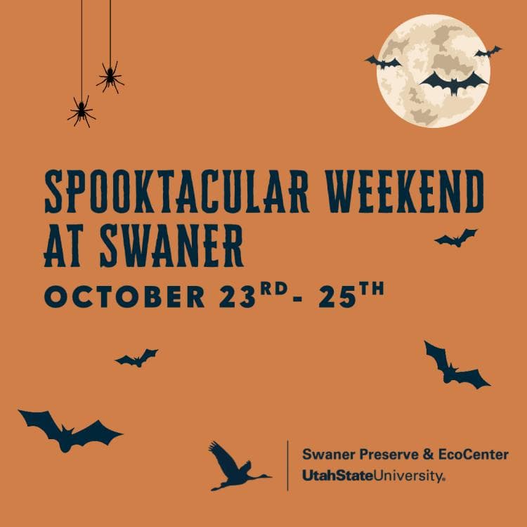 Image for event: Spooktacular Weekend at Swaner