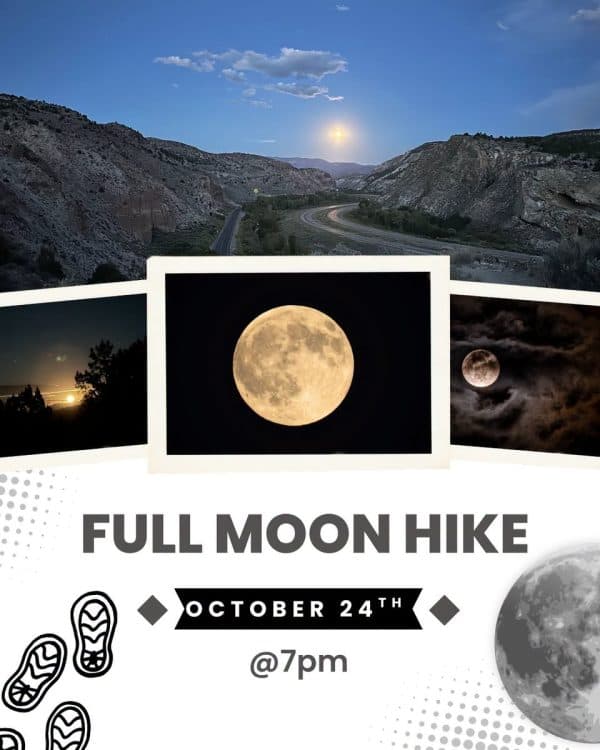 Image for event: Full Moon Hike