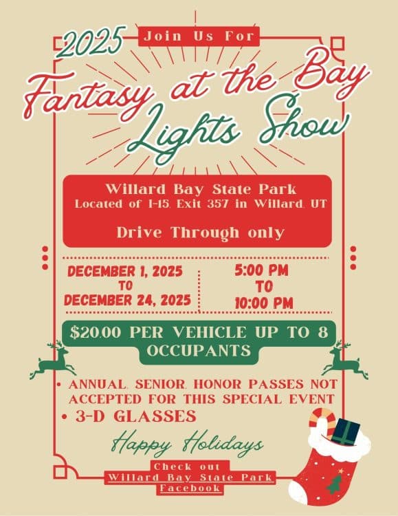 Image for event: 2025 Fantasy at the Bay Lights Show