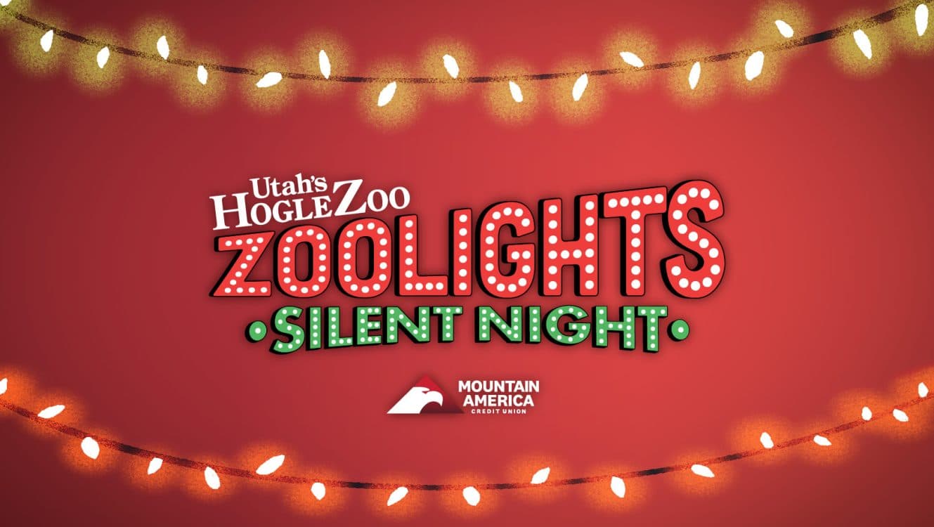 Image for event: ZooLights Silent Night