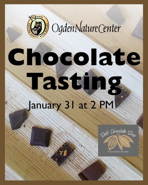 Chocolate Tasting