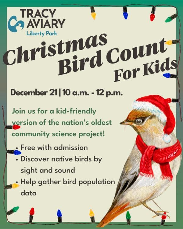Image for event: Christmas Bird Count For Kids