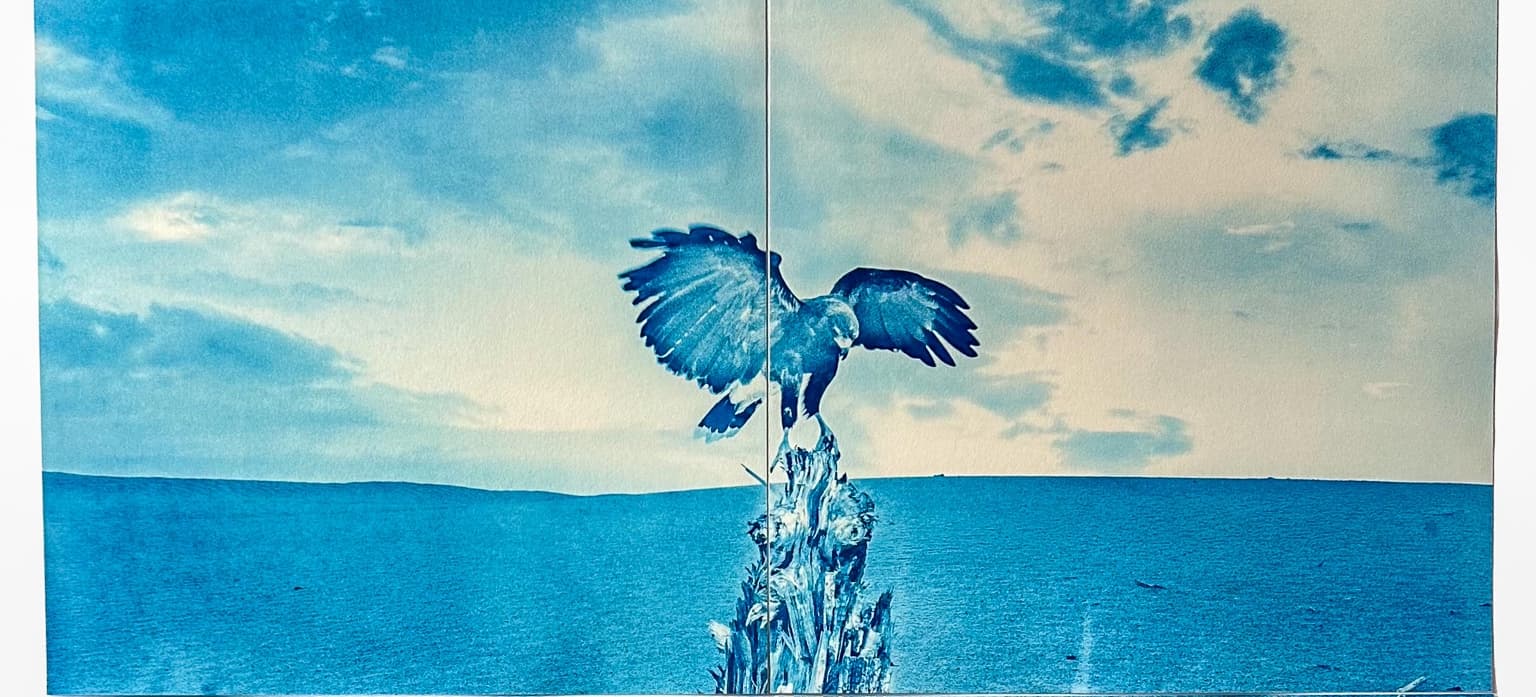 Image for event: All Sketches Wish to Be Real Exhibition