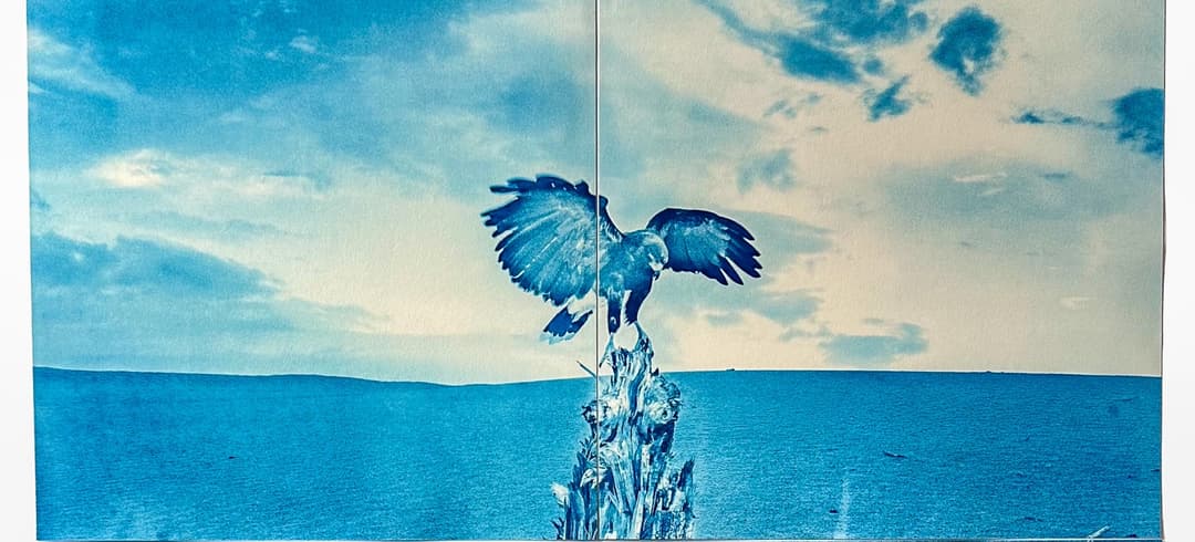 All Sketches Wish to Be Real Exhibition