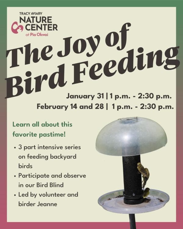 Image for event: The Joy of Bird Feeding